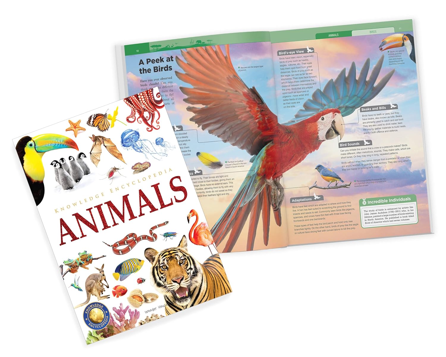 Boxset of 8 Books For Children | Brilliant Encyclopedia